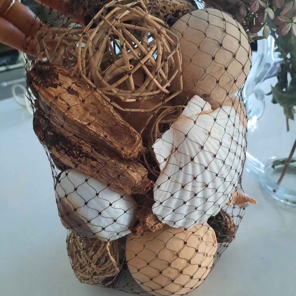 Seashells and decors